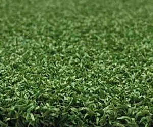 20mm Golf Artificial Grass