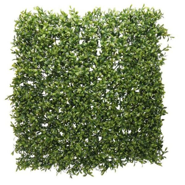 Green Plant Wall
